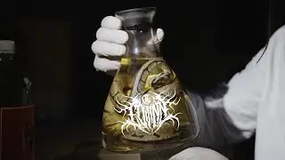 EDJINN - Bioengineered | OFFICIAL MUSIC VIDEO |