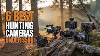 6 best camera for filming hunts under $500 in 2026