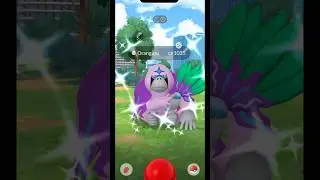 Shiny Timed Research Day With Multiple Unique Shinies Caught!!!