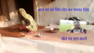 आज घर की लिपाई पुताई की