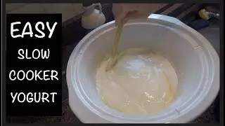 EASY SLOW COOKER YOGURT