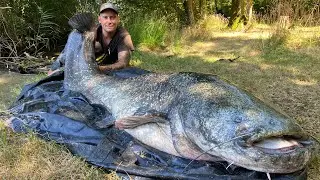 💣big catfish💣Big mama💣Silurus Glanis💣Grand siluro💣,Große Wels💣kapitále sumce💣218cm 247 cm🍾💣😊🇸🇰🇫🇷
