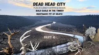 2025 Public Land Shed Hunting the Driftless Area - Deadhead City - Part 4 - Dead Bald Eagle 