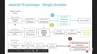 Exploring single-cell DNA and protein data with the tapestrR package