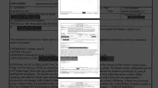The System's Blind Eye: My Review from FOIA documents of Targeting, Surveillance & Seeking Refuge
