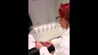 Experiment 9a: Ranking for preference test