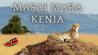 Travelguide Kenia #09 - Unsere unvergessliche Reise durch die atemberaubende Masai Mara.