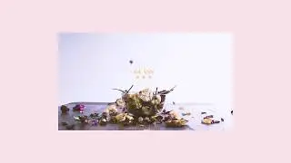 Pure Violet - Glass