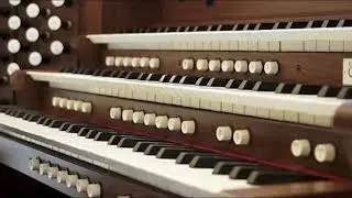 #PanisAngelicus #organsolo (Arr.TS Kang)