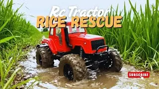 RC Tractor Rice Rescue! Mini Farm Adventure in 3D Animation for Kids