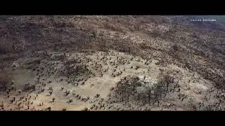 Bells rapids Avon Valley after large bushfire