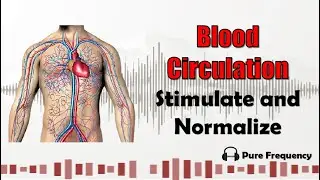 Healing Sound &ndash; Blood Circulation (Treatment and Cure)