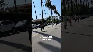 The things you see in Beverly Hills 📸🌴☀️