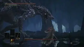 Midir - I let him hit me once on purpose SL69