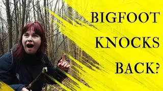 There was a sighting right here | Hunt for the British Bigfoot
