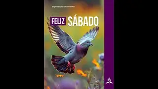 Culto Divino