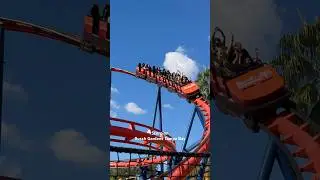 Scorpion - #scorpion #busch #garden #tampa #bay #florida #usa #rollercoaster #ride #fun #themepark