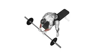 Best Wrist workout #fitness #video #workout #wristworkout