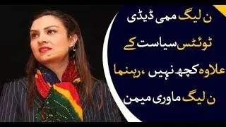 PMLN , cosmetic , mummy daddy, tweet, politics, Marvi Memon