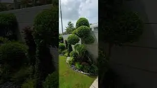 0300-42-46-125 ali abbas beautiful backyard Rock Garden ideas stones work designing edging sheets