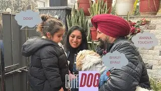 A Little Girl vs My Dog 🐾😂 First Meet Reaction & Unexpected Result || Daily Vlog 67