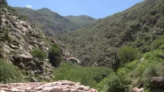 Atahualpa Yupanqui & Los Chalchaleros   