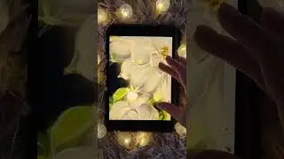 DIGITAL FLOWERS #видеорисования #procreate #videopainting #drawing #painting #paintingtutorial #art