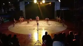 Danza: Cholones de Rupa Rupa - ECMD 