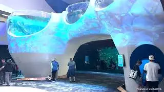Seattle Aquarium, New Ocean Pavilion | The Crab Pot | April 2025 Stardust Pink