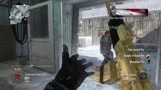 Call of Duty Black Ops 1 2021 Gameplay Team Death Match in Summit with Gold AK-47