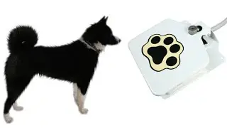 Pet Water Drinking Machine from GPCT