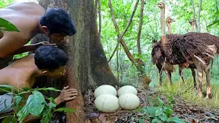Wilderness in the jungle forest research nest Ostrich near river then cooking Ostrich Egg for food