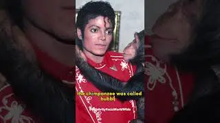 Michael Jackson Bubbles The Chimp Facts