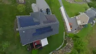 Flying above the trees