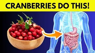 Cranberries: The Superfood You Should Eat Every Day?