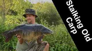 Stalking Old Suffolk Carp under the rod tip - Weybread Bottle Pit