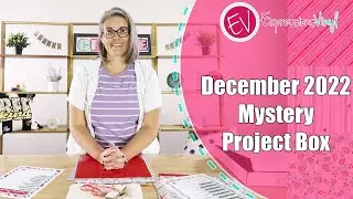 December 2022 Mystery Project Box Unboxing - Expressions Vinyl