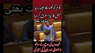 #pmln MPA fiery speech in #punjabassembly #pti #ppp #maryamnawaz #punjab #politics #news