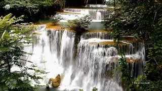 4k Waterfall sounds relaxing outdoor in forest of Nature