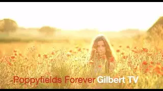 Cinematic Video Portrait | Poppy fields Forever | Samyang 85mm & 45mm video test
