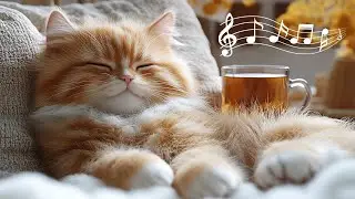 Healing Cat Music 10 Hours 🌿 Deep Relax My Cat Music for Stress Relief and Sleep