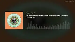 #30_Knowing your chicken breeds, Permaculture package update, PYO Cherries!