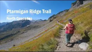 Ptarmigan Ridge trail