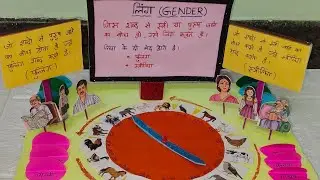 DIY/Hindi gender project /लिंग हिंदी ग्रामर प्रॉजेक्ट मॉडल  how to make Hindi grammar project model