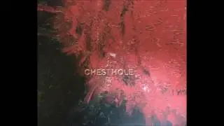 CHESTHOLE /  太陽    チェストホール  JP Harcore sound