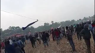গরু দৌড়ানো প্রতিযোগিতা 