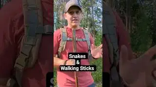 Using a Walking Stick to avoid snakes