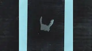 Birds Of Delay / Goldblood &ndash; Dreamt Afterbirth / The Agony Booth (2006)