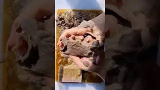 🤎Soaked Tar Soap🤎 #asmrvideo #soaked #asmrsoap #soakedsoap #дегтярное  #asmrsounds #дегтярноемыло