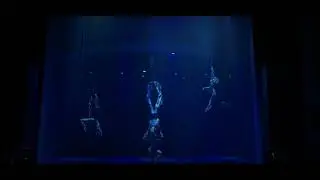 Ricky Almeida- 2 points Harness - Aerial Reel